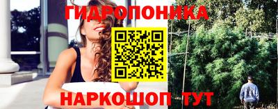 apvp Обь