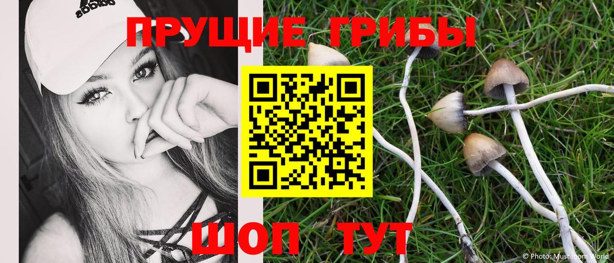 Ульяновск  наркошоп  Вход с VPN  Псилоцибиновые грибы прущие грибы 
